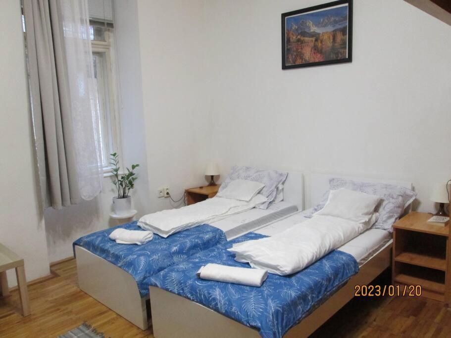 Lavender Apartment Near Heroes' Square & Puskas Stadium Budapest Eksteriør bilde